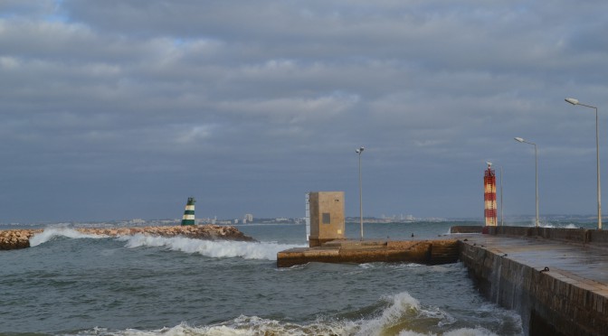 DSC_0538
